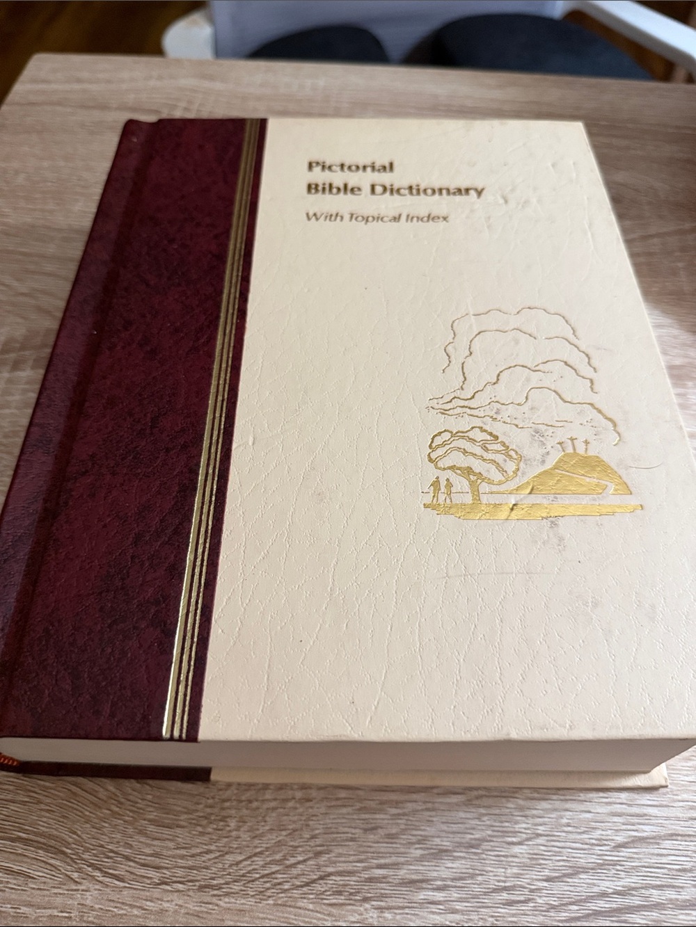 Pictorial Bible Dictionary Hardcover in Cream and Burgundy - Unknown Brand